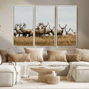 Elk Herd Wall Art Canvas Print – Framed Wildlife Photography