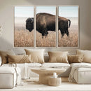 American Bison Wall Art Canvas Print – Majestic Buffalo