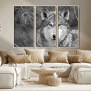 Wild Wolf Blue Eye Wall Art Canvas Print