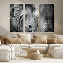 Wild Old Elephant Wall Art Canvas Print
