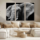 Big Elephant Close Up Wall Art Canvas Print