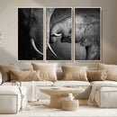 Elephant Family Wall Art Canvas, Framed Elephant Family by MyGreatCanvas | Canvas Wall Art Prints | Photo Prints & Wall Decor