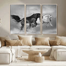 Wild Horses Wall Art Canvas Print – Framed Black and White