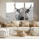 Newfoundland Cow Art Wall Art, Black White Cow Art Wall Art
