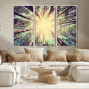 Tree and Sunshine Canvas Print