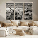 Cow Focus Canvas Wall Art Print by MyGreatCanvas | Canvas Wall Art Prints | Photo Prints & Wall Decor