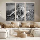 King Forest Lion Wall Art Canvas Print – Framed Majestic by MyGreatCanvas | Canvas Wall Art Prints | Photo Prints & Wall Decor