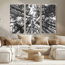 Trees Contemporary Art Canvas Print by MyGreatCanvas | Canvas Wall Art Prints | Photo Prints & Wall Decor
