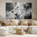 African Lion Wall Art Canvas Print – Majestic Wildlife