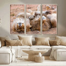 Lion Pair Wall Art Canvas Print – Framed Wildlife Scene with