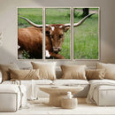 Longhorn Steer Canvas Wall Art – Rustic Nature Triptych