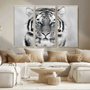 Black and White Tiger Wall Art Animal Canvas Print