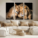 Lion and Lioness Wall Art Canvas Print – Framed African