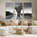Black and White Elephant Wall Art Canvas Print