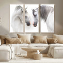 White Horse Wall Art Animal Canvas Print by MyGreatCanvas | Canvas Wall Art Prints | Photo Prints & Wall Decor