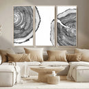 Abstract Large Tree Rings – Minimalist Black and White Wood