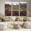 Wisconsin Badgers Team Print Canvas - Madison Camp Randall