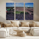 South Carolina Gamecocks Football Team Print - Columbia