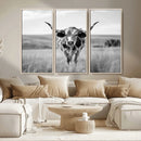Texas Cow Longhorn Wall Art Canvas Print for Farm House Wall