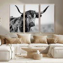 Texas Highland Cow Longhorn Canvas Print - Rustic Farmhouse by MyGreatCanvas | Canvas Wall Art Prints | Photo Prints & Wall Decor