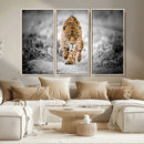 Jaguar Wall Art Canvas Print - Majestic Big Cat in Focused by MyGreatCanvas | Canvas Wall Art Prints | Photo Prints & Wall Decor