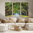 Wormsloe State Plantation Driveway Wall Art Canvas Print by MyGreatCanvas | Canvas Wall Art Prints | Photo Prints & Wall Decor
