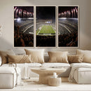 Eagles Field Stadium Wall Art - Philadelphia Eagles Football