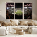 Eagles Field Stadium Wall Art - Philadelphia Eagles Football