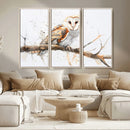 Barn Owl Wall Art on Branch | Stunning Canvas Print for