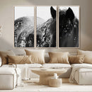 Black Horse in Snow Canvas Print | Winter Horse Wall Art |