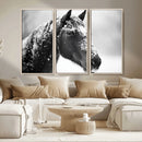 Horse Canvas Print - Winter Horse Snow Wall Art Canvas Print by MyGreatCanvas | Canvas Wall Art Prints | Photo Prints & Wall Decor