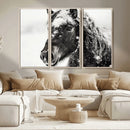 Framed Black and White Horse Wall Art | Ready to Hang and by MyGreatCanvas | Canvas Wall Art Prints | Photo Prints & Wall Decor