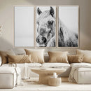 White Horse Wall Art | Ready to Hang and Framed | Winter