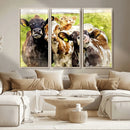 Curious Cows Farmhouse Wall Art | Ready to Hang and Framed