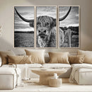 Scottish Highland Cow Wall Art Canvas Print | Ready to Hang