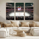 Honda Center California Anaheim Ducks Ice Hockey Stadium