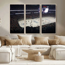 Honda Center California Anaheim Ducks Hockey Stadium Wall