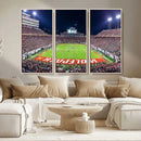 NC State Wolfpack Canvas Print - Raleigh Carter-Finley