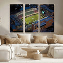 University of North Texas Mean Green Football Artwork,