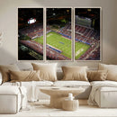 Florida Atlantic University Owls Canvas Print, Football Team by MyGreatCanvas | Canvas Wall Art Prints | Photo Prints & Wall Decor