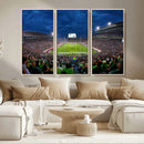 Michigan State Spartans Football Team Print - East Lansing