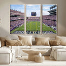 TCU Horned Frogs Football Team Print - Fort Worth Amon G.