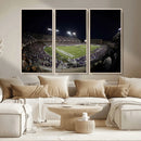 TCU Horned Frogs Football Team Print - Fort Worth Amon G.