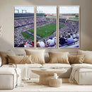 The Texas Christian University TCU Horned Frogs Football