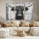 Abstract Longhorn Bull Wall Art Canvas Print - Rustic Texas