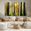 Sunlit Forest Wall Art Canvas Print – Large Framed Woodland