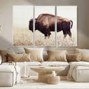 Bison in Field Wall Art Canvas Print For Farmhouse Barn