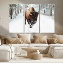 Bison Wall Art Canvas Print For Farmhouse, Animal Canvas