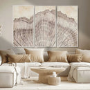 Tree Ring Wall Art Triptych, Rustic Wood Ring Canvas Print,