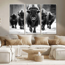 American Bison Art | Buffalo Herd Wall Art Canvas Print, BW